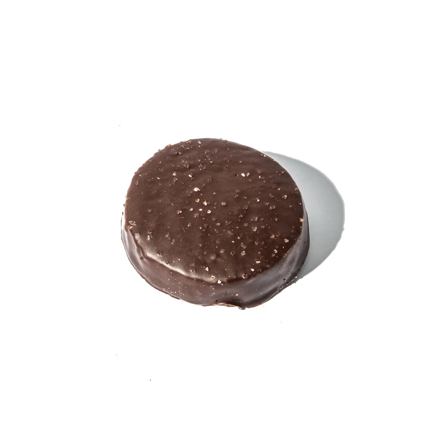 Morph Protein Bar Chocolate Canada